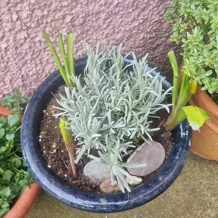 بيت للعطل West View In Seaside Village Of Cumbria *