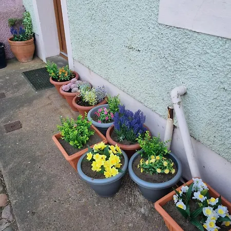بيت للعطل West View In Seaside Village Of Cumbria Allonby