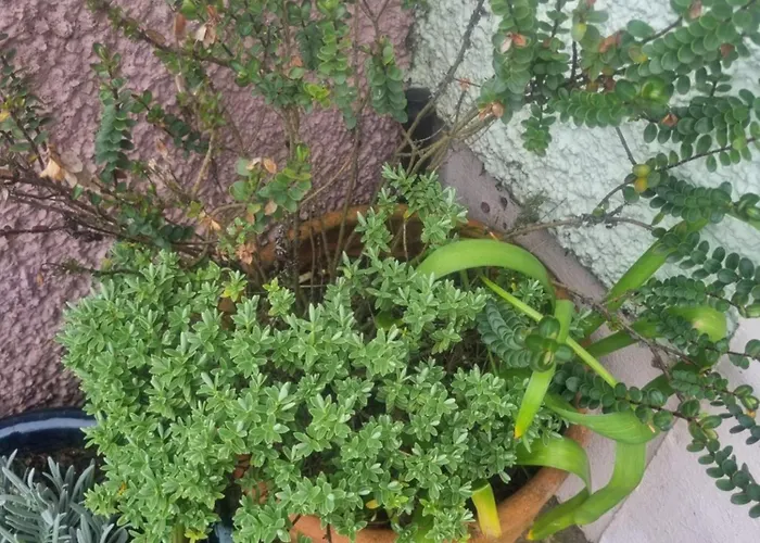 West View In Seaside Village Of Cumbria Holiday home