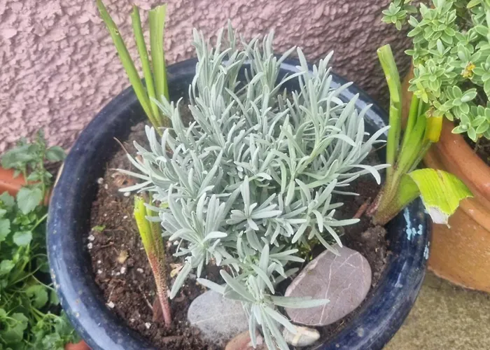 Holiday home West View In Seaside Village Of Cumbria *