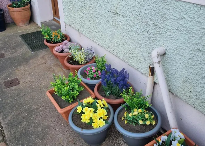 Holiday home West View In Seaside Village Of Cumbria Allonby