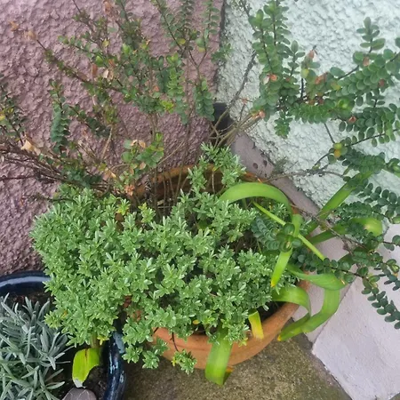 West View In Seaside Village Of Cumbria Vakantiehuis